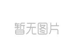 起重機(jī)選用的基本參數(shù)介